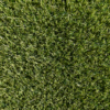 Artificial grass Pearl style 99 cents per square foot