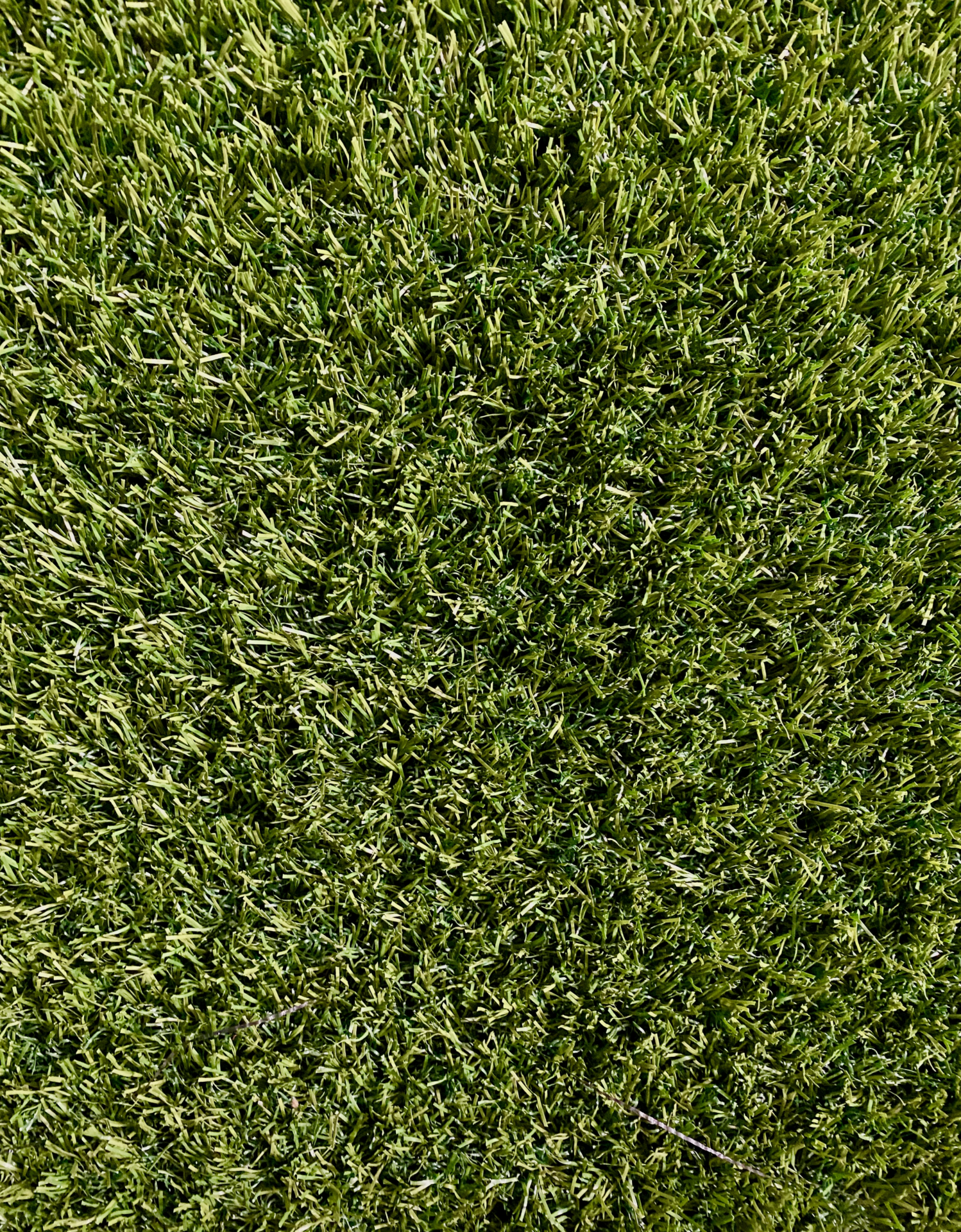 Artificial grass Pearl style 99 cents per square foot